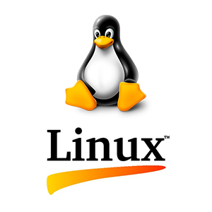 Linux Installation Ashford Kent